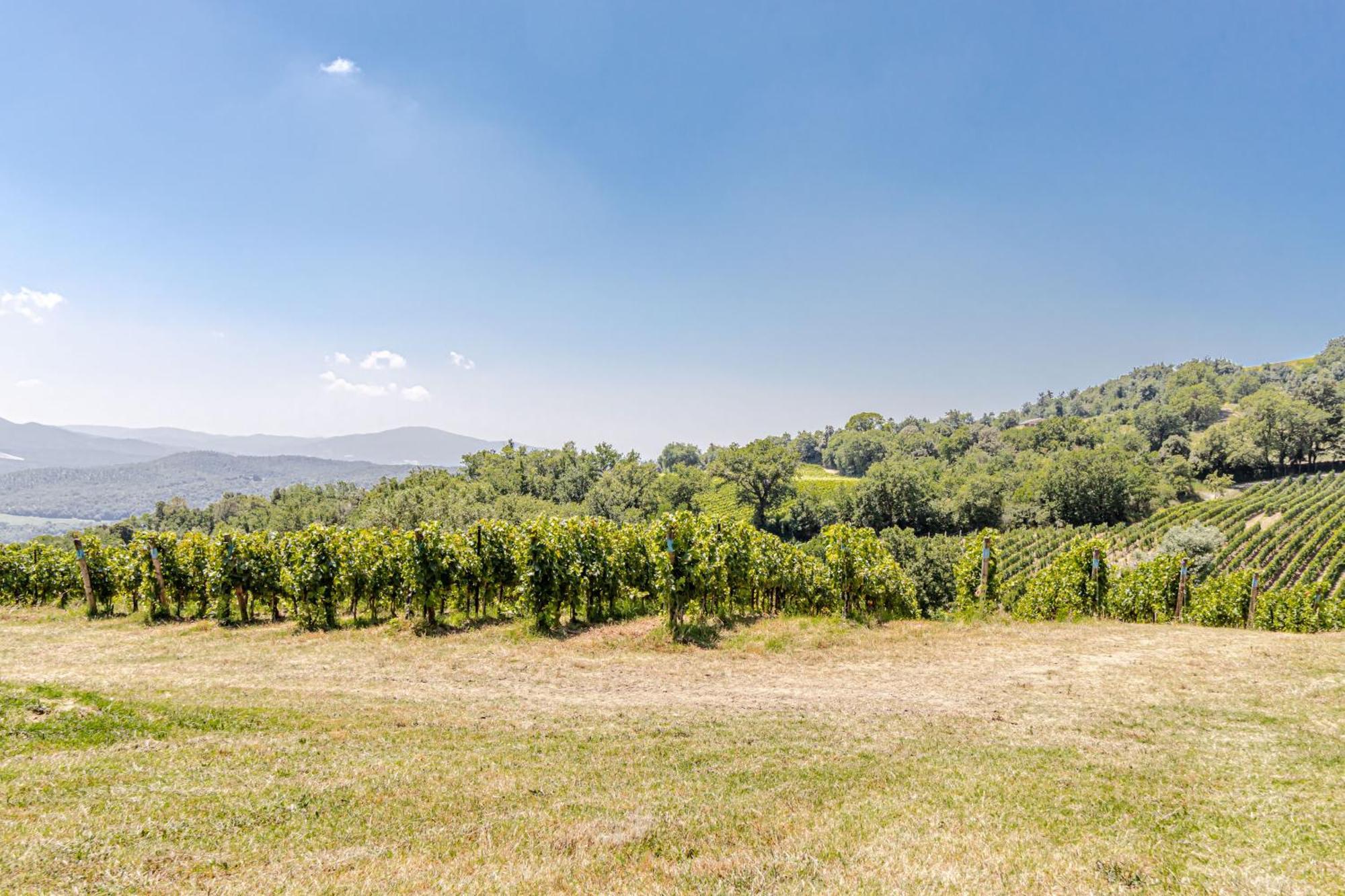 Chateau La Siroque Montecatini Val di Cecina Exterior foto